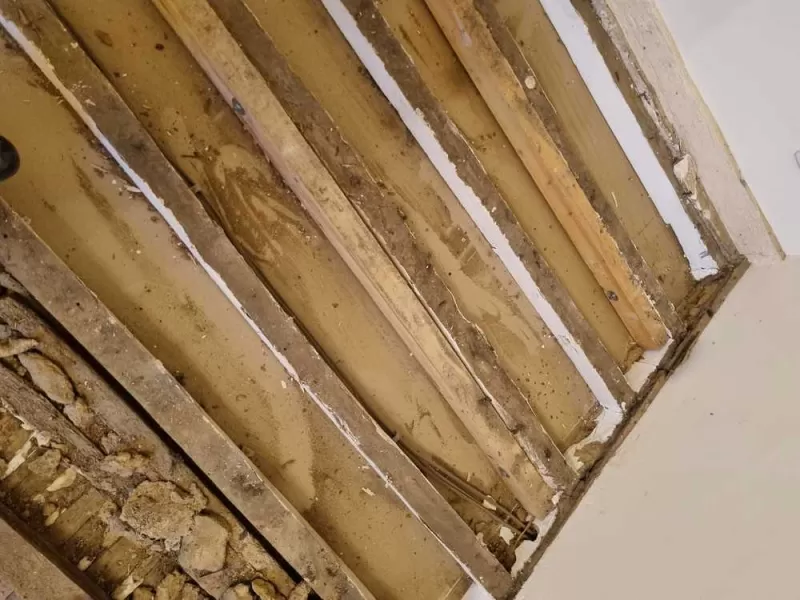 Pose de parquet chêne massif, L'Isle-en-Dodon, Menuiserie Agencement Delon